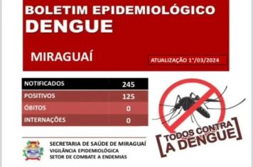 MIRAGUAI TEM 125 POSITIVADOS DA DENGUE